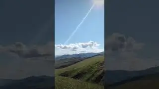 #Лори