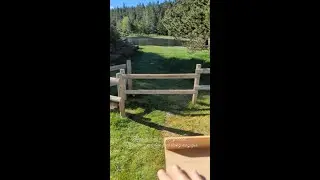 Reel Instagram : Réveil au bord du petit lac de Calvet