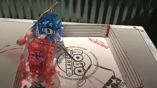 Boxing Robots