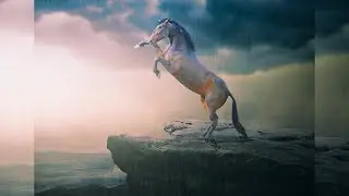 MANIPULATION PHOTOSHOP - DIGITAL IMAGING