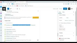 (Part of) your keyphrase does not appear in the slug - Yoast SEO