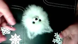 VID 20181016 171325