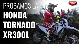Opinión Honda Tornado XR300L
