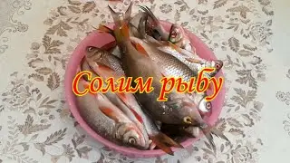 Один из вариантов засолки и вяления  рыбы,на который стоит согласиться.