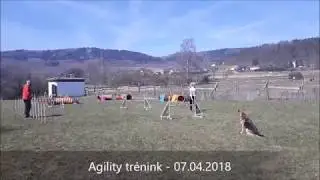 7. 4 .2018 - Trénink agility