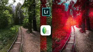 Changing Colors and a Dramatic Look inSNAPSEED and LIGHTROOM MOBILE (freeapps) | Android | iPhone