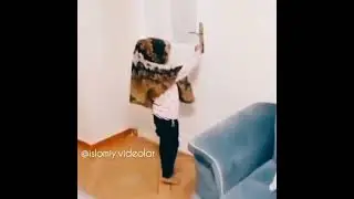 Farz akalar bu narsa | Abdulloh domla
