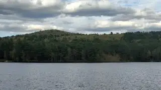 ZosterDragon is live at my lake