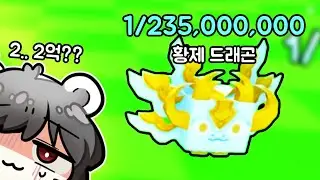 펫츠고에서 벌써 2억짜리 펫이 등장했다 ㄷㄷ