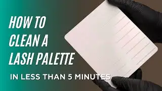 How to clean a lash palette | LASH HACK | Anastasia Lash Expert