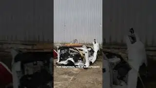 #shorts