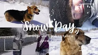 A very quiet Snow Day