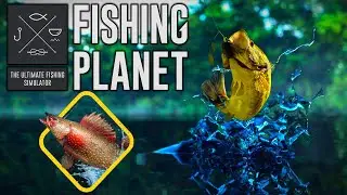 🎮 Bonus Game: Fishing Planet - Emerald Monster - Pikeslasher (Destruidor de Lucios)