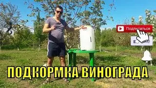 Подкормка винограда весной - карбамид мочевина