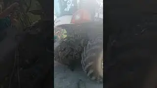 7 июля 2024 г.