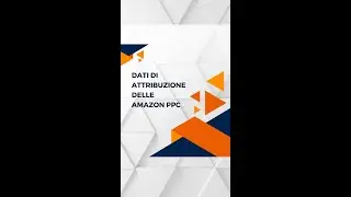 DATI DI ATTRIBUZIONE DELLE PPC DI AMAZON