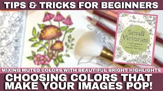 HOW TO CHOOSE COLORS THAT MAKE YOUR IMAGES POP! | TIPS & TRICKS FOR BEGINNERS | Small Victories