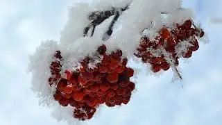 С НОВЫМ ГОДОМ!