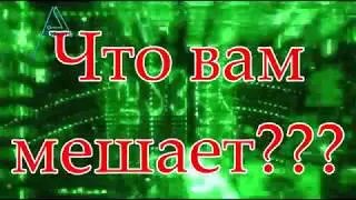 Система саморазвития абсолют