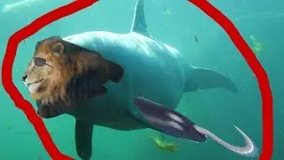Тесты!!!!!!!!!!!!!!!