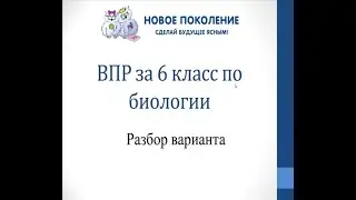 Биология. Разбор варианта ВПР по биологии 6 класс