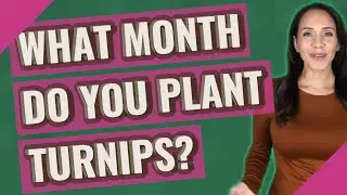 What month do you plant turnips?