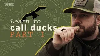 How to CALL DUCKS - Part 1