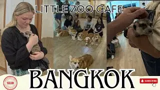 WE MET THE CUTEST ANIMALS at Little Zoo Cafe Bangkok! 🐾 | Unforgettable Experience in Thailand