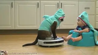 #SharkCat Entertains #SharkBaby! Happy #SharkWeek!!!  | TexasGirly1979