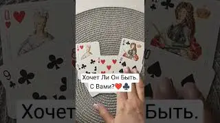 он и вы