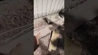 They've finally started working on the house.