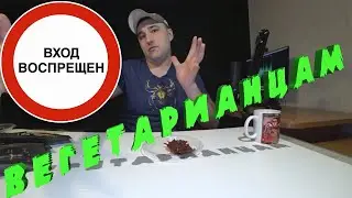 Много мясо. Закуски с Вайлдберис. Закуски к пиву. Мясные чипсы. Фуд блогер. Обзор еды.