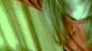 Ледниковый Пери(о/у)д.
