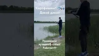 Карпфишинг! Активатор клёва проверка! Работает! 🤯🤯🤯
