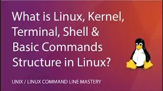 What is Linux, Kernel, Terminal, Shell and Basic Commands Structure in the Linux Shell?