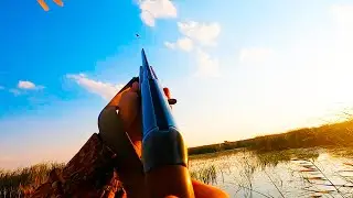 Открытие охоты на утку. Красивые налеты, точные выстрелы.