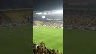 Fenerbahçe-Alanya Tadic Atar Tribün Çoşar... #fenerbahçe