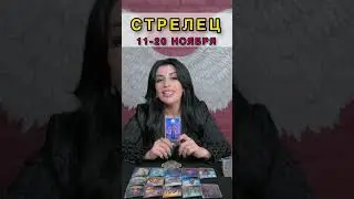 Стрелец гороскоп на Ноябрь 2023 