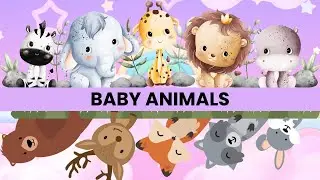 Baby Animals Vocabulary | Learn English for Kids | Super Simple Songs