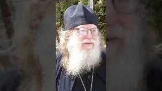Архімандрит Рафаїл Карелін про волю Божу