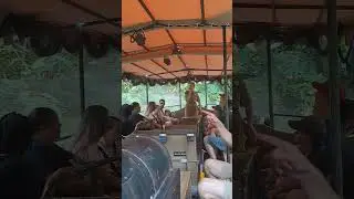 Jungle Cruise (part 1) #junglecruise #disneyworld #shorts