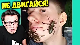 ПОПРОБУЙ НЕ ДВИГАТЬСЯ ЧЕЛЛЕНДЖ! 99% ПРОИГРАЛИ! НЕ ИСПУГАЙСЯ CHALLENGE