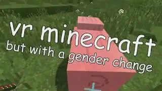 vr minecraft but i had a gender change