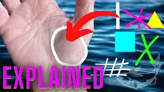 6 RARE SIGNS ON Venus MOUNT & THEIR MEANINGS (PALMISTRY)