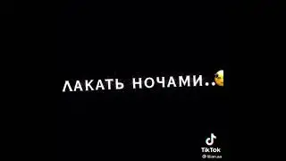 видео из тик тока (23 часть)