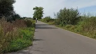 Honda Hornet 600 Wheelie