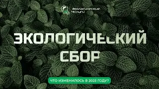 Как не получить штраф за экологический сбор в 2025 году?