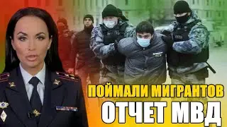 Мигранты нелегально работают ВЕЗДЕ. Отчет МВД. Накрыли в двух местах Мигрантов.