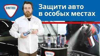 Что нужно знать о специальных продуктах Dinitrol | Выбирай и применяй (18+)
