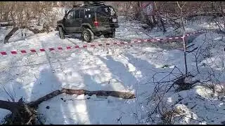 Фестиваль 